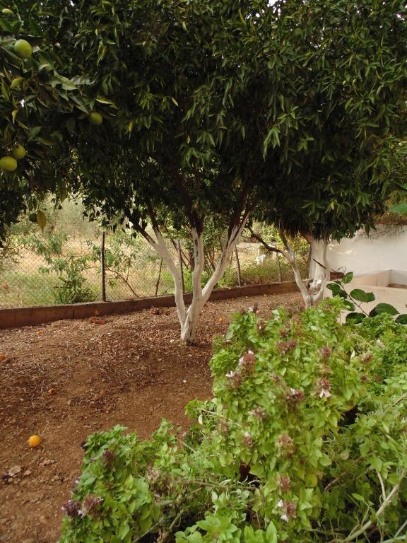 פטיטיריון Villa Melini חדר תמונה