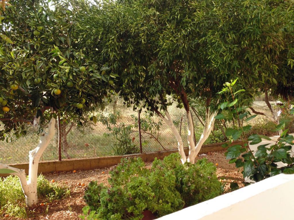 פטיטיריון Villa Melini מראה חיצוני תמונה