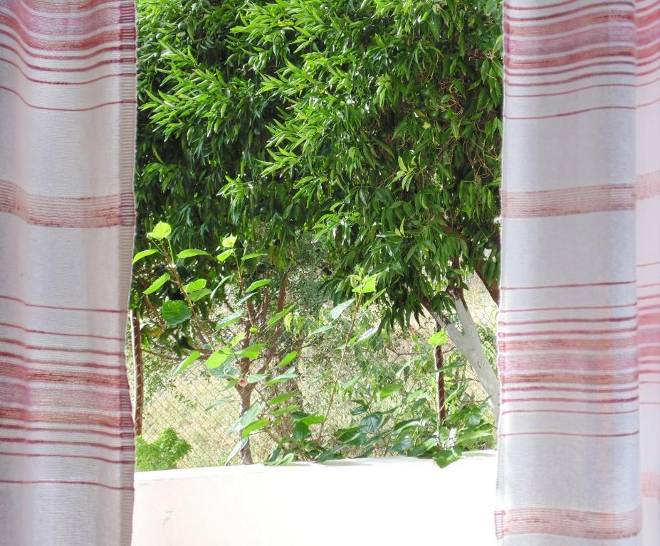 פטיטיריון Villa Melini חדר תמונה
